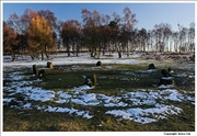 Stanton Moor Nine Ladies Stone Circle